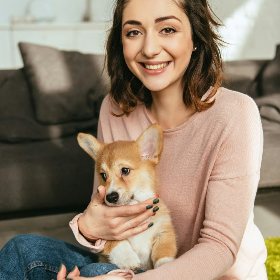 laughing woman with cute welsh corgi pembroke at home